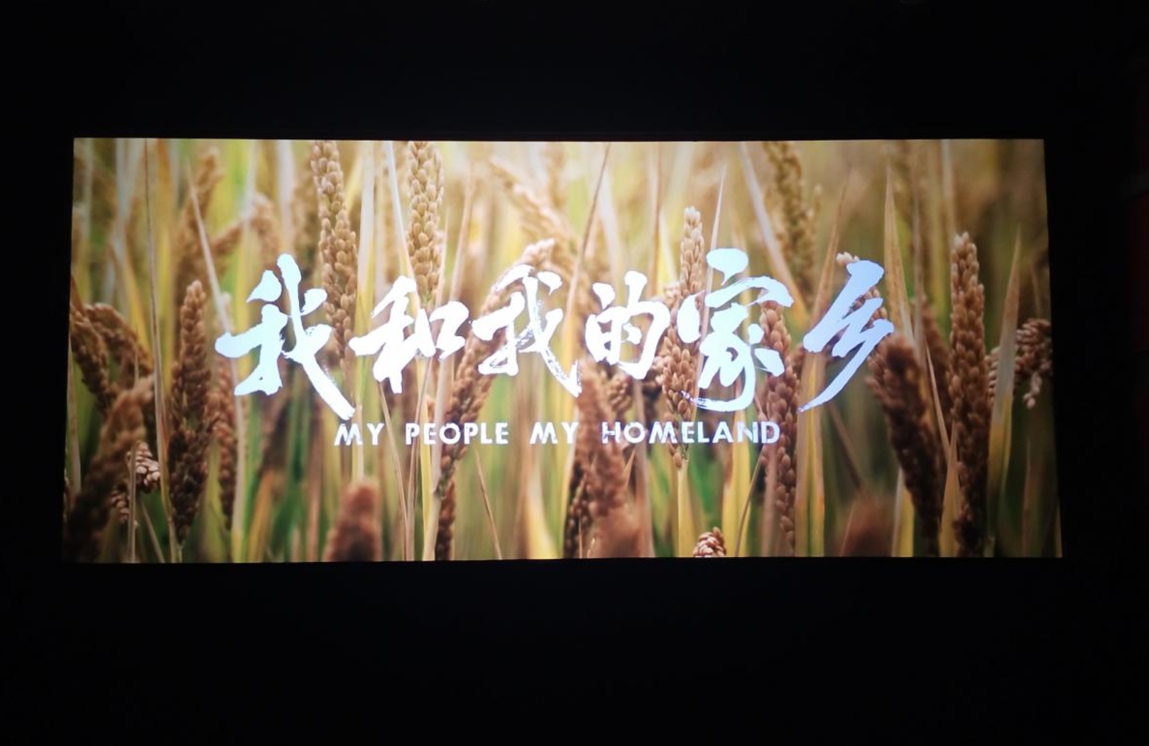 f34fd3f154f40e28ae1dd6f7d4337e0